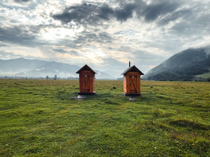 Fotobehang voor het toilet: stijltips voor een speelse zomerse make-over