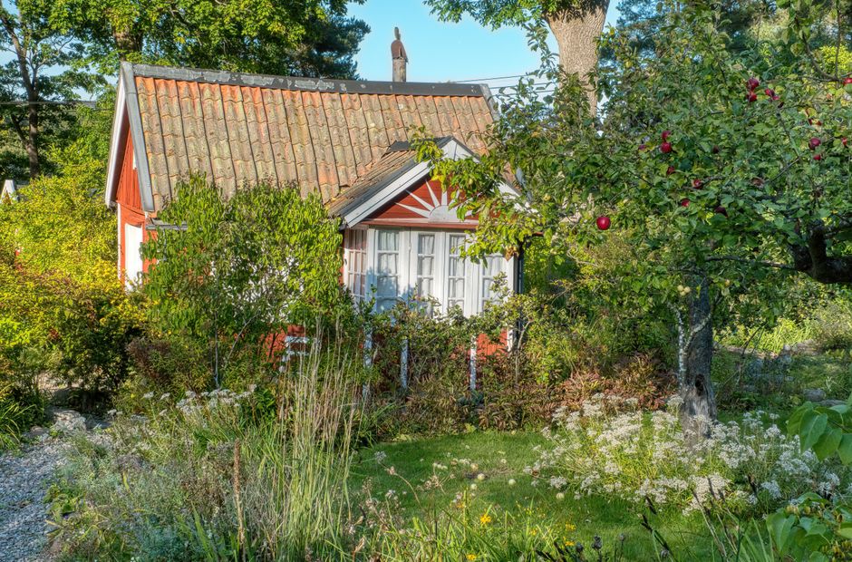 Rustieke tuin met houten hek en wilde bloemen Rustieke tuin met houten hek en wilde bloemen