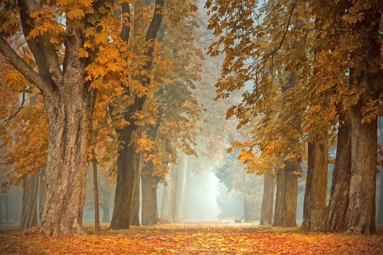 Eco-vriendelijke herfstkrans met natuurlijke elementen.